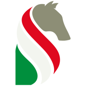Benvenuti nel nostro nuovo sito web: l’ospitalità a portata di click!